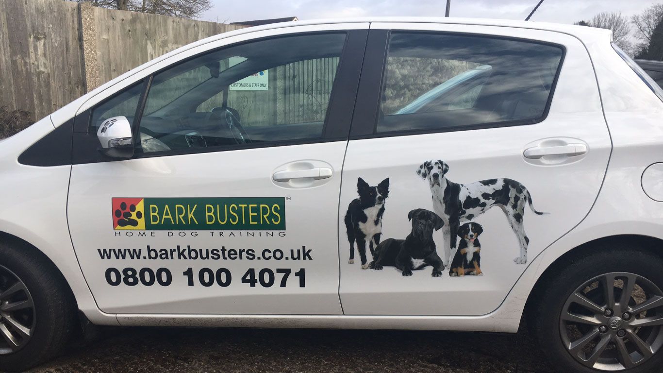 Cheap Car Stickers