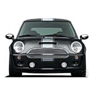 Mini Shelby Stripes